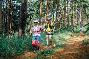 BIB: 
                            <button type="button" onclick="openModal(25755448)" class="btn btn-primary btn-sm float-right btn-popup" data-toggle="modal" data-target=".modal-high-quality">
                        <i class="fas fa-shopping-cart"></i> Add to Cart
                    </button>
                                            <button type="button" onclick="isThisMe(25755448, true)" class="btn btn-success btn-sm float-right btn-popup btn-isme hidden" data-toggle="tooltip" data-placement="bottom" title="นี่คือรูปของคุณใช่ไหม คลิกที่นี่เพื่อเอาเข้าอัลบั้ม">
                        <i class="fas fa-plus"></i> Add to album
                    </button>
                    <button type="button" onclick="isThisMe(25755448, false)" class="btn btn-warning btn-sm float-right btn-popup btn-isnotme hidden">
                        <i class="fas fa-ban"></i> Remove from album
                    </button>